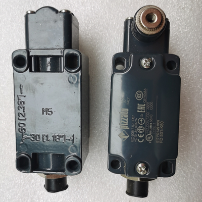60117974 قطعات یدکی جرثقیل خزنده GY-S-1NO+1NC-75 LimitSwitch