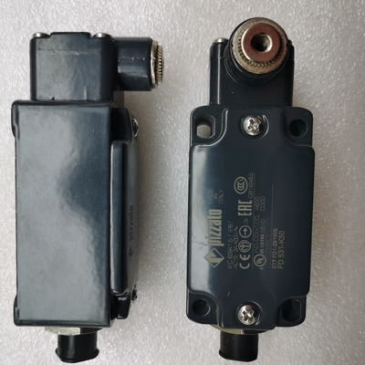 60117974 قطعات یدکی جرثقیل خزنده GY-S-1NO+1NC-75 LimitSwitch