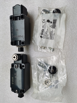60117974 قطعات یدکی جرثقیل خزنده GY-S-1NO+1NC-75 LimitSwitch